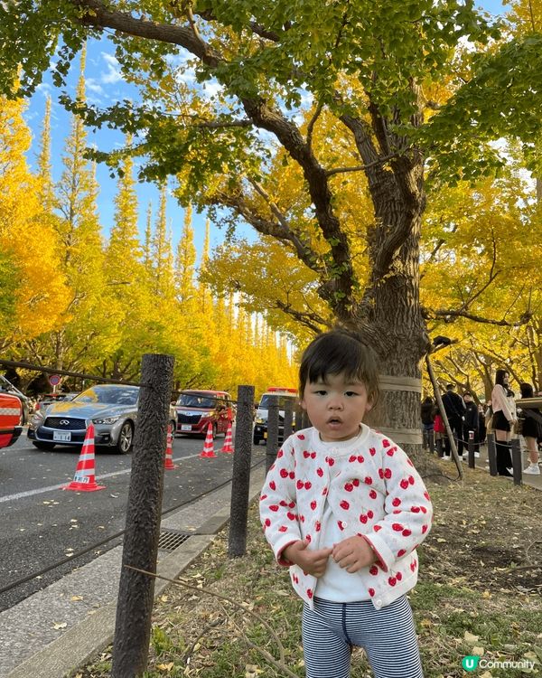 東京明治神宮銀杏大道，係我最鐘意既黃色吖😆😆😆
