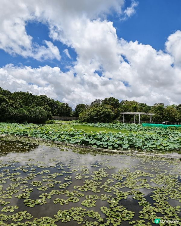 紀錄一下親子玩樂~ 