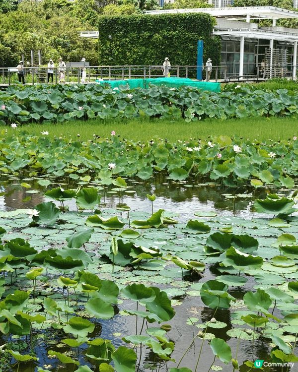 紀錄一下親子玩樂~ 