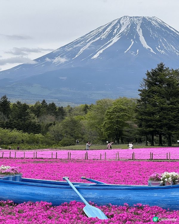 這是五月東京之旅的相片，很幸運可以有好天氣，讓我們一家同時看...