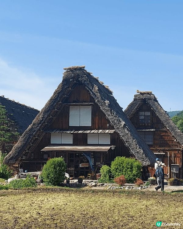 沖繩萬坐毛，陽光海灘。日本中部名古屋，白村鄉，金澤，嚴島神社...
