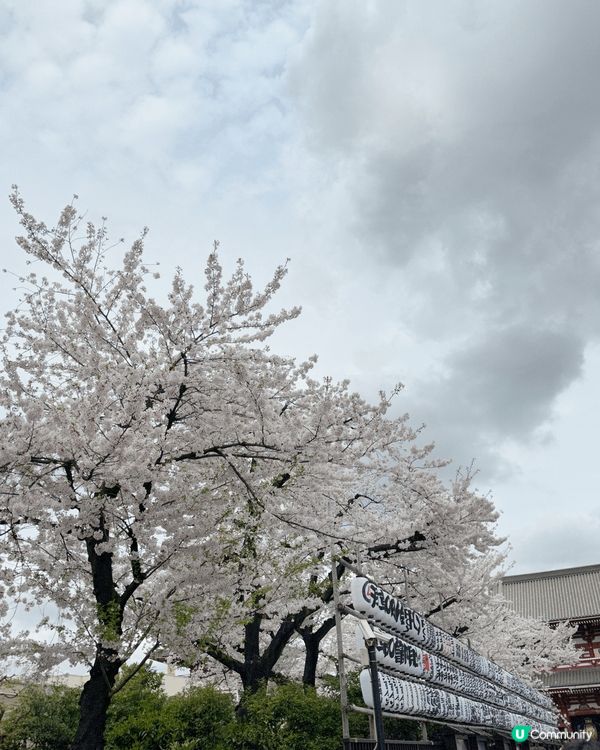 🇯🇵《東京 · 必去雷門寺》🇯🇵