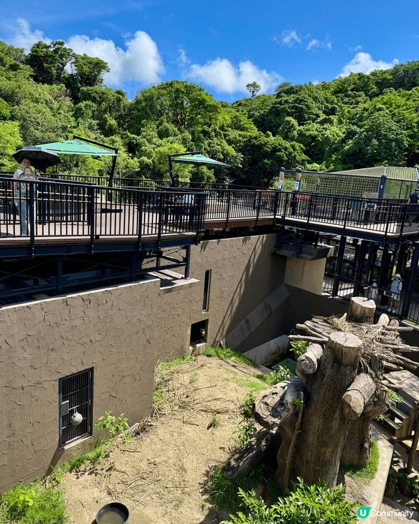 「沖繩兒童王國」於1970年開館，以是日本少數集結動物園、博...