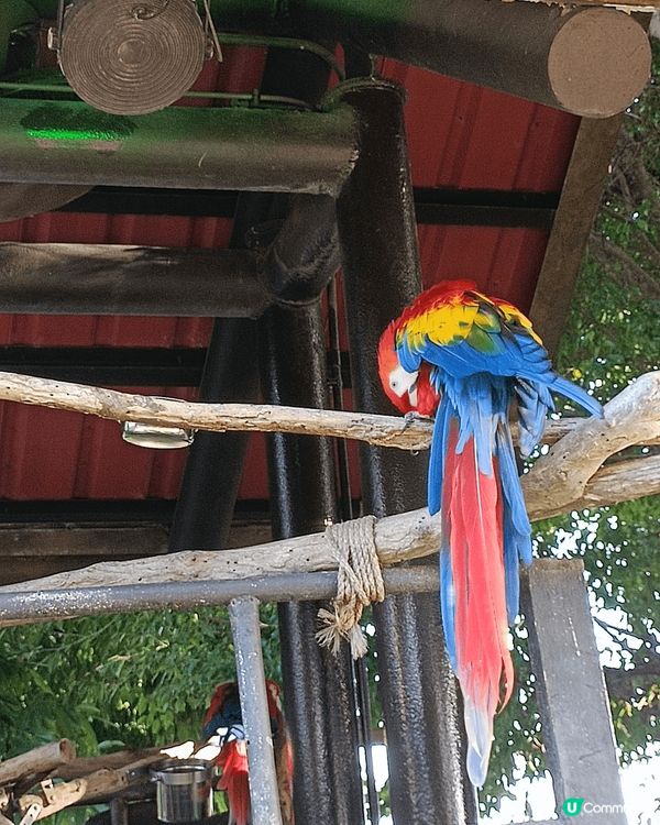 香港的醉人傍晚美景,,一看便想留住它,真係好美麗吖！另外,我...