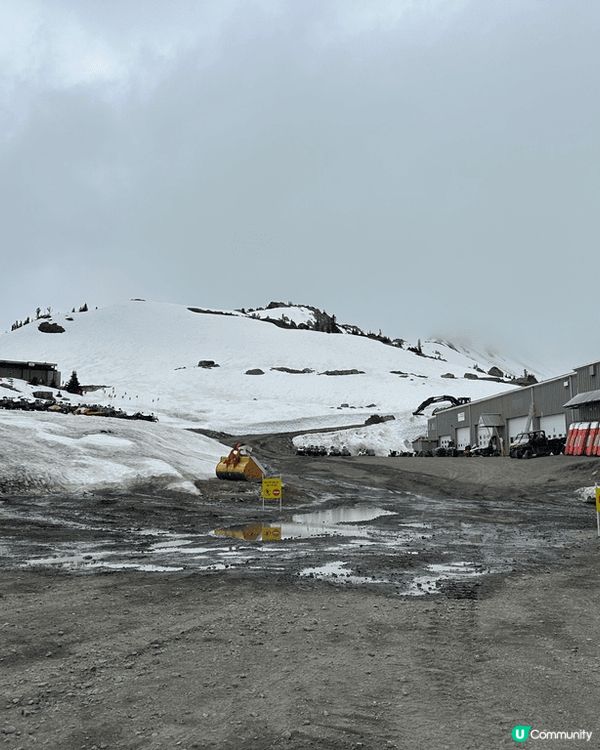 溫哥華自由行之旅，空氣清新，心礦神怡，美食之都。