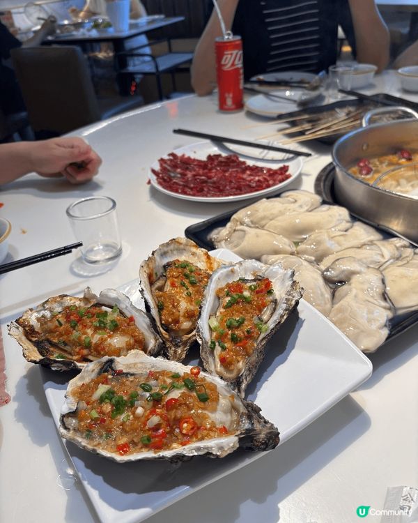 剛剛去了澳洲新濠水上樂園，很開心，可惜當天因3號風球戶外園區...