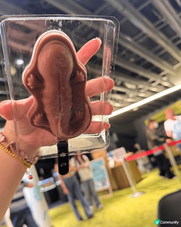 京都水族館｜有超大條的娃娃魚做主角，很多紀念品，甚至乎連雪條...