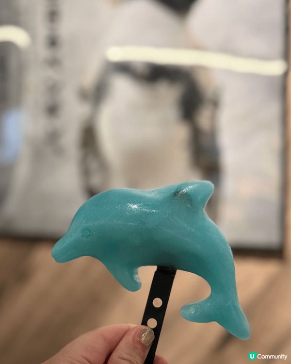 京都水族館｜有超大條的娃娃魚做主角，很多紀念品，甚至乎連雪條...