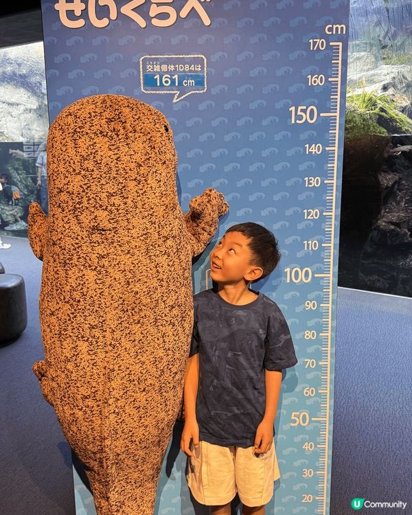 京都水族館｜有超大條的娃娃魚做主角，很多紀念品，甚至乎連雪條...