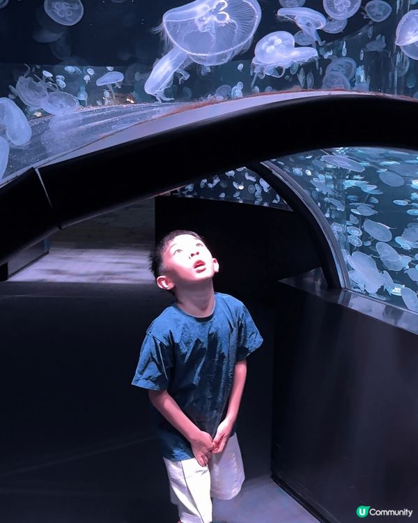 京都水族館｜有超大條的娃娃魚做主角，很多紀念品，甚至乎連雪條...