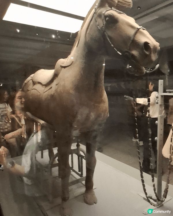 秦始皇兵馬陵是我們西安之行的亮點之一,坑1的規模令人難以置信...