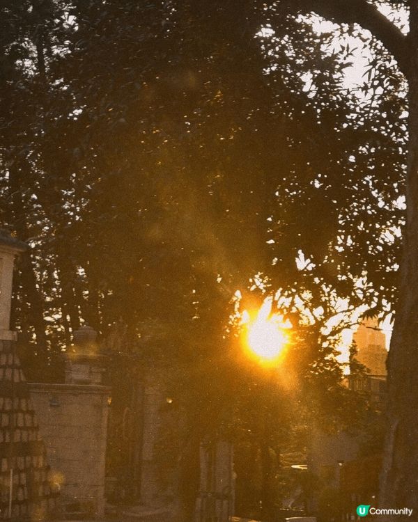 萬家燈火連星漢，霓虹倒影水雲間。這很像代表香港的日落與夜晚景...