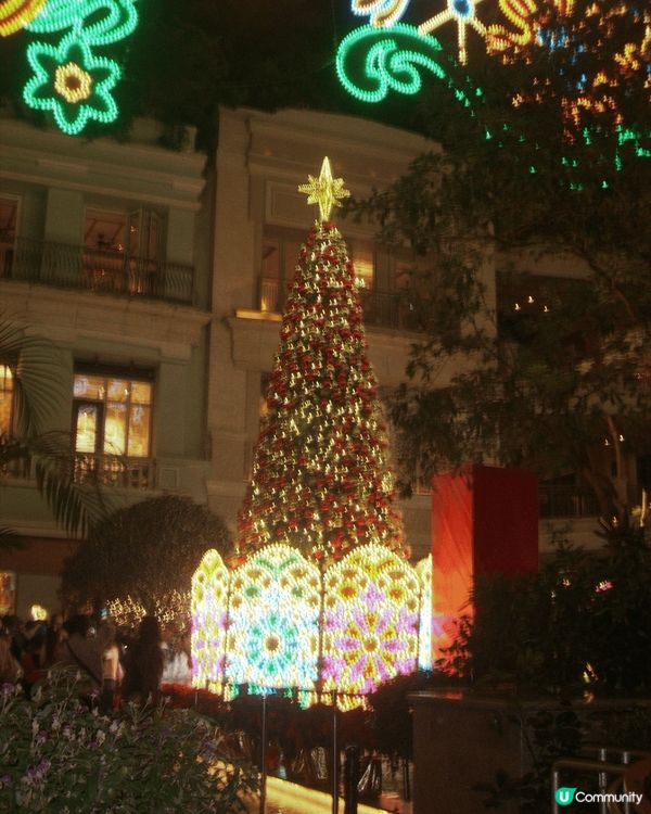 第一張係淺水灣同朋友一齊玩嘅適合影嘅，第二張就係聖誕節好有氛...