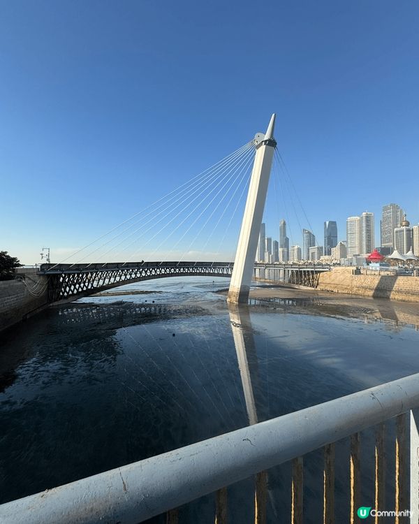 第一張係淺水灣同朋友一齊玩嘅適合影嘅，第二張就係聖誕節好有氛...