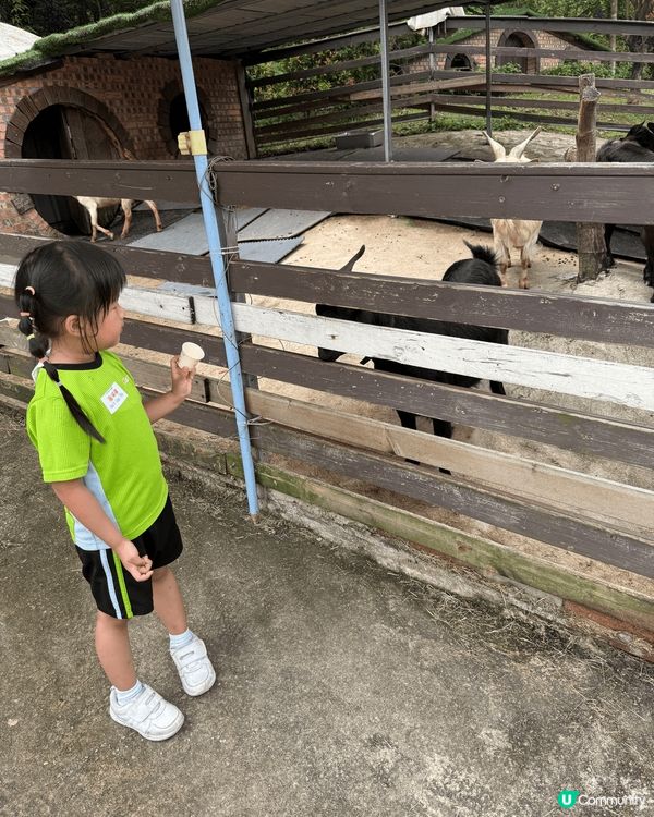 🐐餵羊咩咩、🎠坐旋轉木馬、騎馬遊園，仲有🧚‍♀️童話屋打卡位...