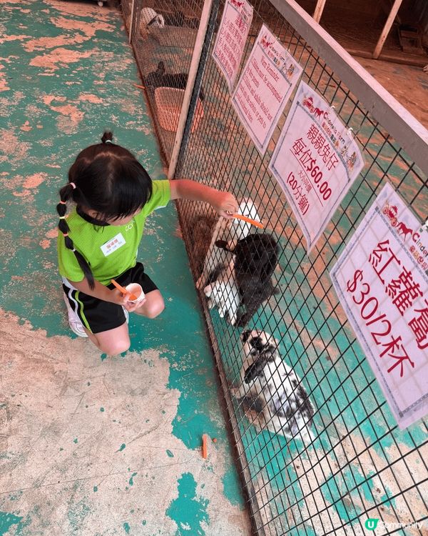 🐐餵羊咩咩、🎠坐旋轉木馬、騎馬遊園，仲有🧚‍♀️童話屋打卡位...