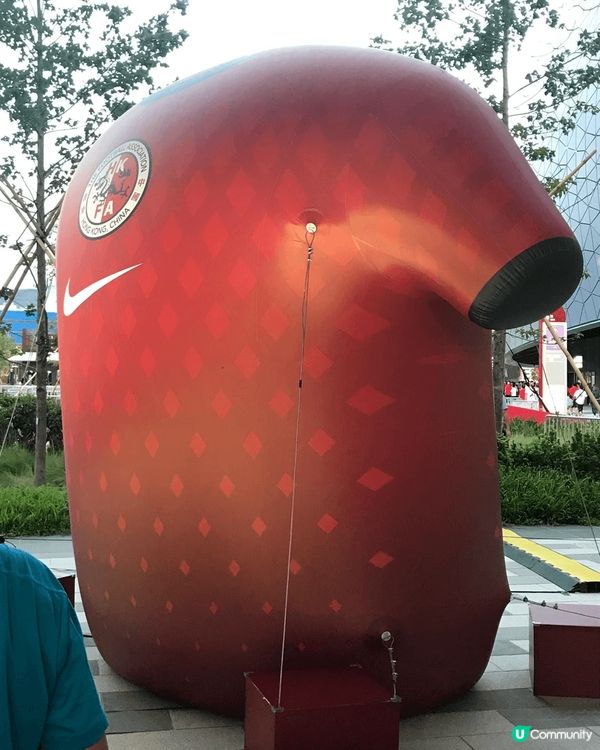 支持香港隊，踢出好波，最終以1-0擊敗印度咖哩！球場外有一個...