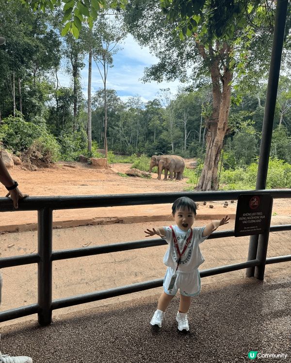 富國島既短暫美好時光，小朋友喺動物園，沙灘同埋villa 都...