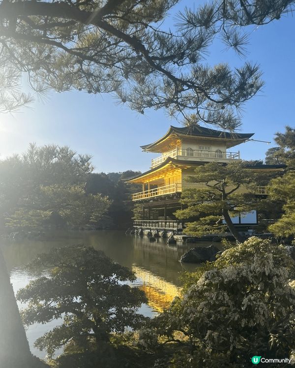 4月日本之旅，脫離香港好壓迫嘅空間，日本係休息充電嘅國家，係...