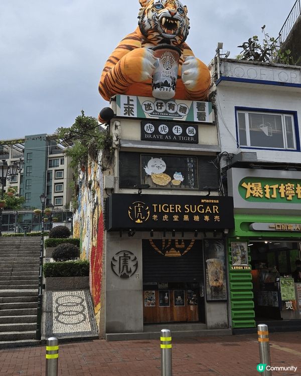 打風去澳門快閃，一家三口去新濠水上樂園，第一次去官也街，一家...