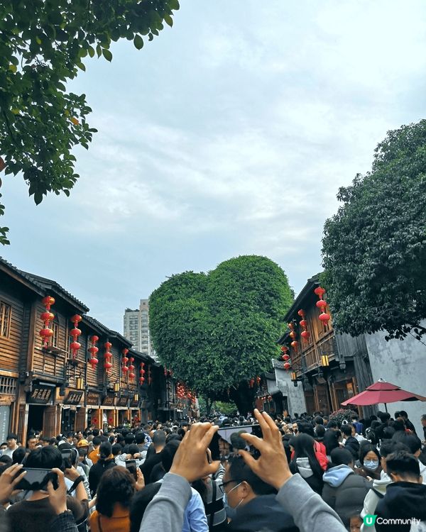 福建省泉州市的三街七巷和開元寺非常值得一看