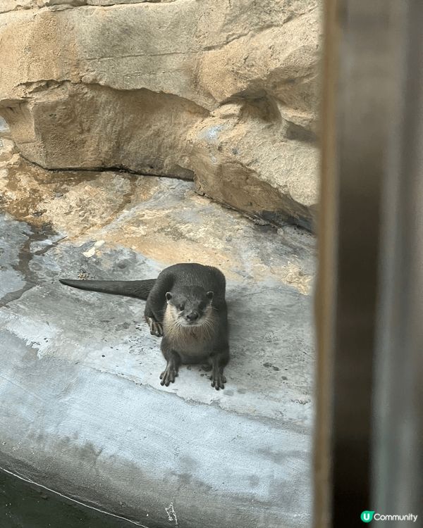 放假帶小朋友四圍玩，一齊行更多嘅路，係最幸福快樂嘅事