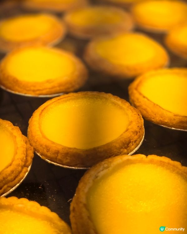 新鮮出爐蛋撻