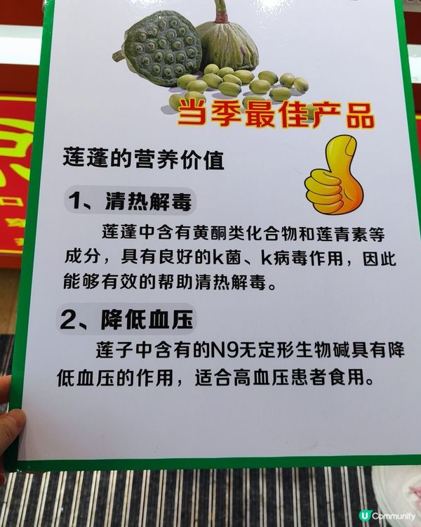 深圳掃街新發現！生食蓮子😋！ 20蚊抵食！