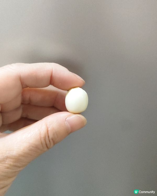 深圳掃街新發現！生食蓮子😋！ 20蚊抵食！