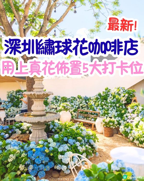 深圳繡球花咖啡店😍用上真花佈置5大打卡位！打造浪漫南法露天花園～