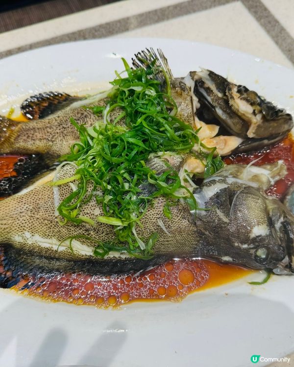 $29.9歎「原條龍躉斑」❤️