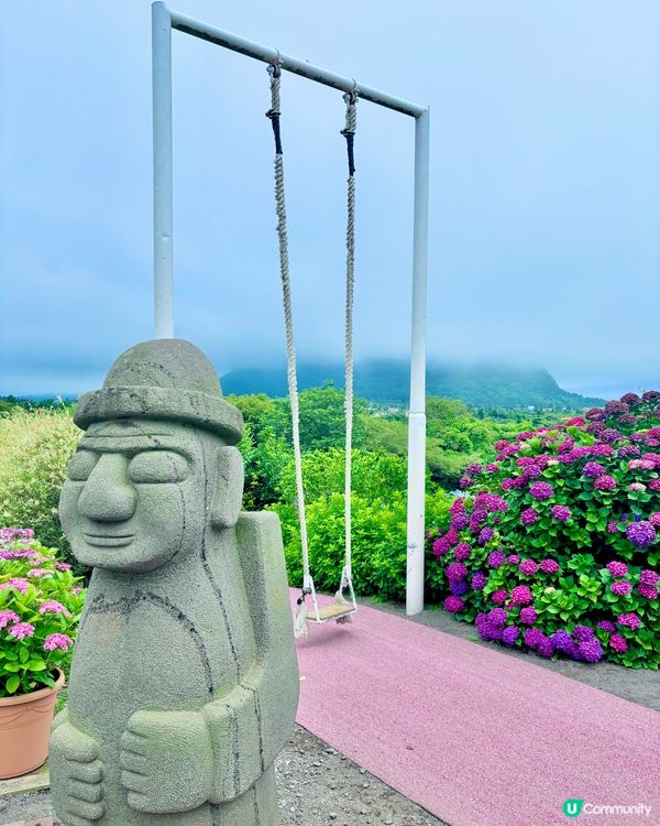 繡球花仙境！打卡韓國濟州cafe🌸