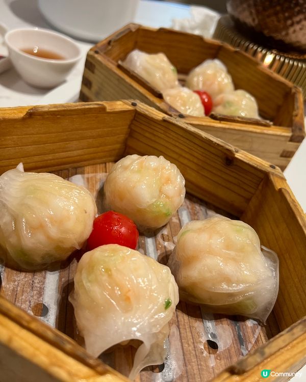 點心控必去！深圳打卡餐廳📸😋 超巨型菠蘿包