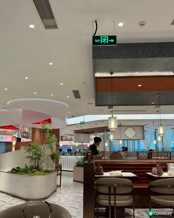 點心控必去！深圳打卡餐廳📸😋 超巨型菠蘿包