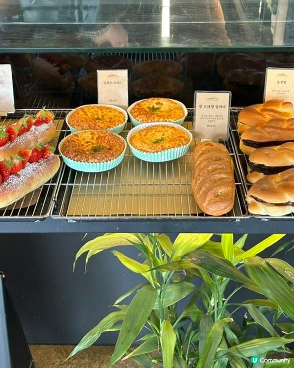 🇰🇷📚 首爾鍾路｜山腳下嘅靜靜地書店咖啡店