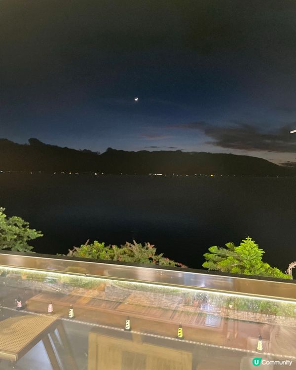 洱海東菇菌鍋🍲！雞湯底正😋！打卡送粉！