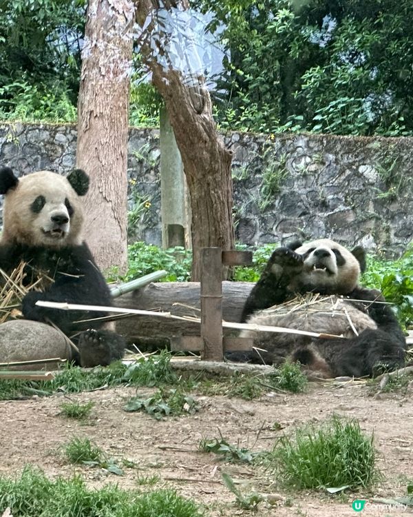 #中國旅遊攻略#中國好去處