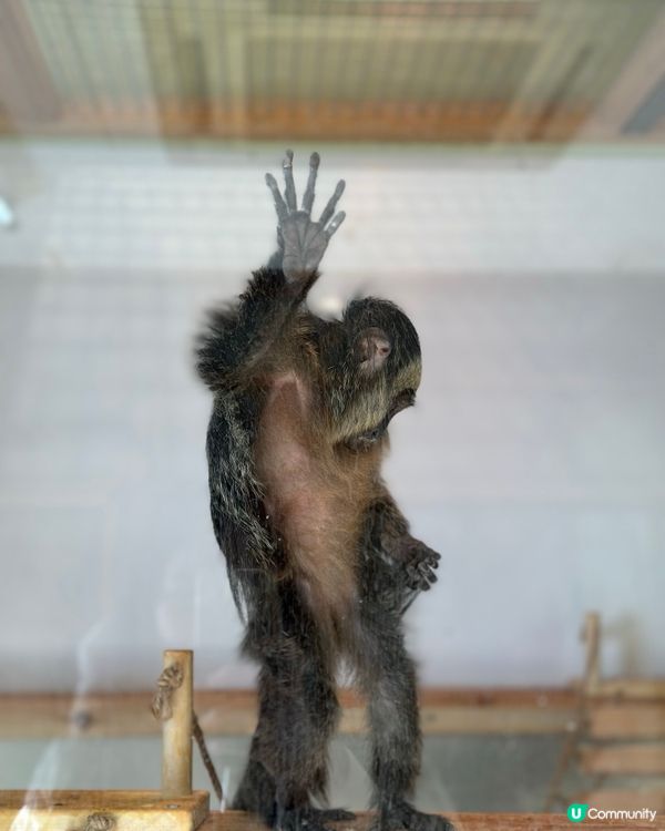 #日本好去處#旅行打卡