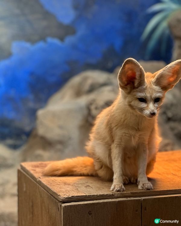 #日本好去處#旅行打卡