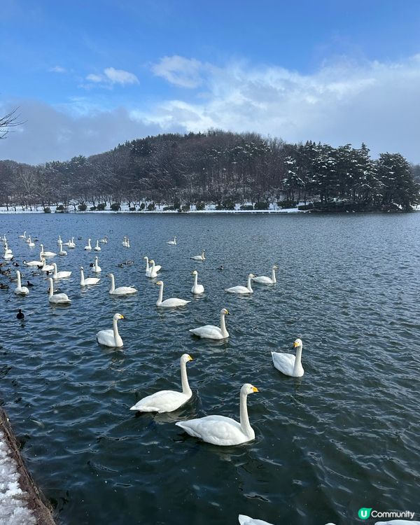 #日本好去處#旅行打卡