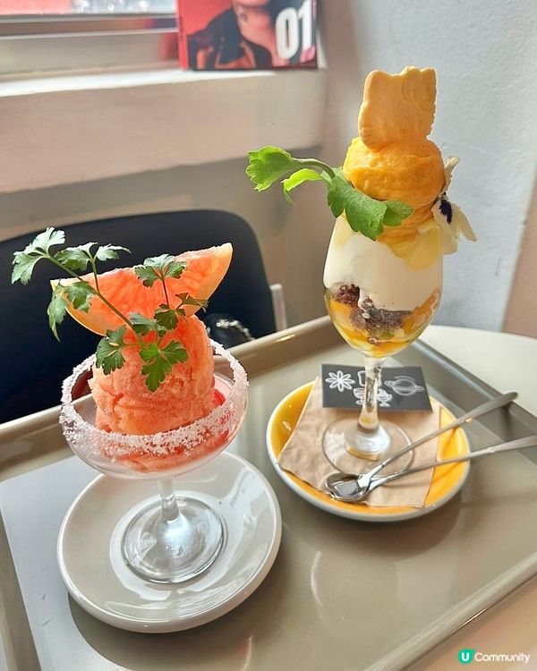 🇰🇷大邱人氣甜品咖啡店｜夏日消暑必食超精緻雪葩甜品🍧