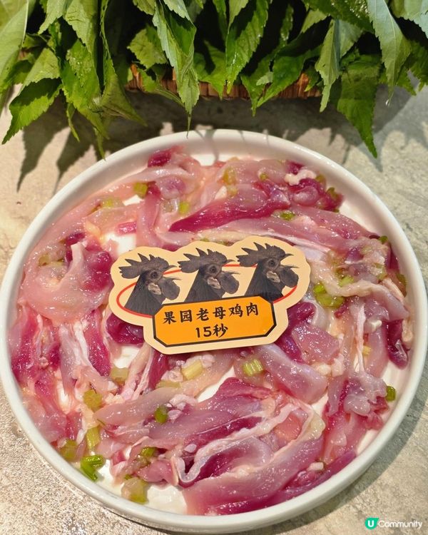 📍深圳必吃🍲米八外·石橄欖雞煲·尋味潮汕