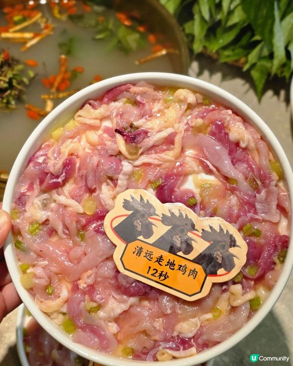 📍深圳必吃🍲米八外·石橄欖雞煲·尋味潮汕