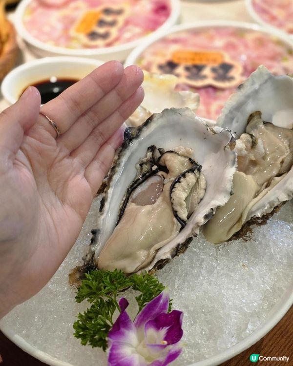 📍深圳必吃🍲米八外·石橄欖雞煲·尋味潮汕