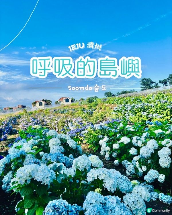 濟州感受🍊呼吸的島嶼🔅