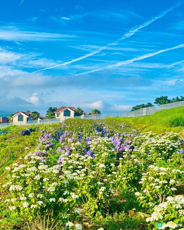 濟州感受🍊呼吸的島嶼🔅