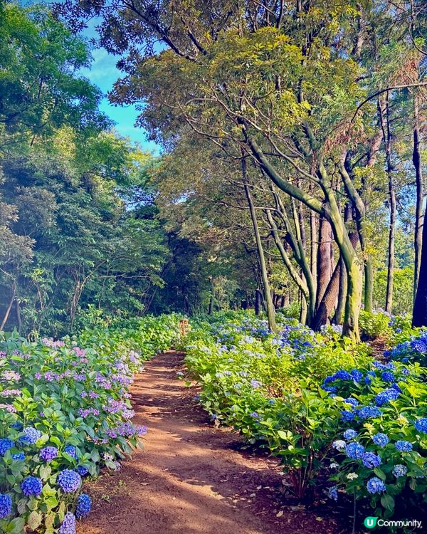 濟州感受🍊呼吸的島嶼🔅