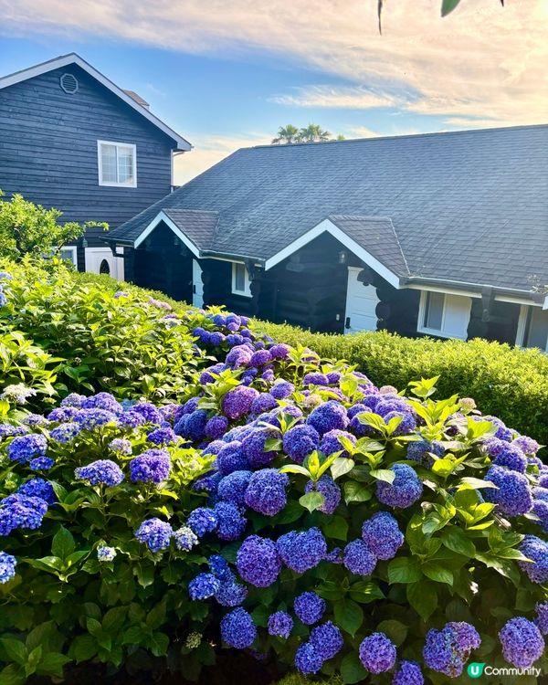 濟州感受🍊呼吸的島嶼🔅