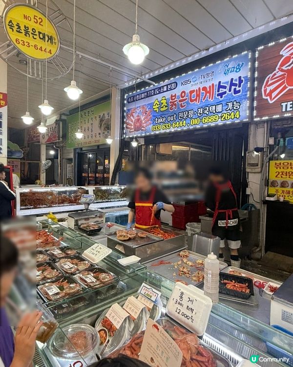 🇰🇷韓國束草中央市場‼️ 勁抵食大啡蟹實食分享🦀 💯👏🏻