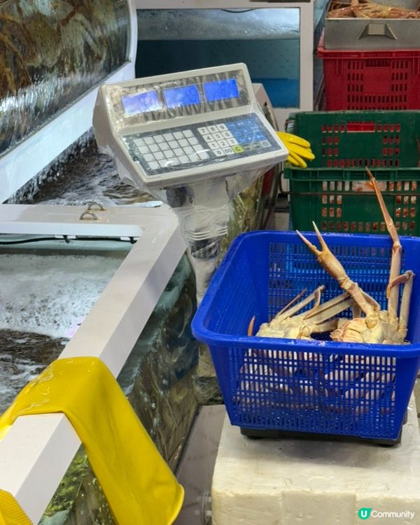 🇰🇷韓國束草中央市場‼️ 勁抵食大啡蟹實食分享🦀 💯👏🏻